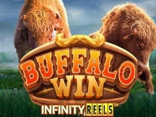 Buffalo Win thumbnail